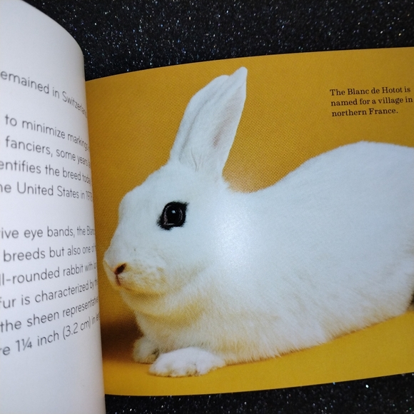Rabbit Breeds: The Pocket Guide to 49 Essential Breeds Paperback - Picture 3 of 4